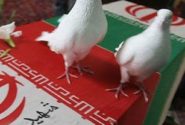 شهادت، به بهانه قرائت قرآن بر پیکر سه پاسدار شهید
