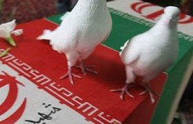 شهادت، به بهانه قرائت قرآن بر پیکر سه پاسدار شهید