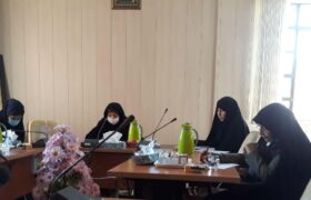 اولین جلسه هم اندیشی کمیته بانوان بزرگداشت چهلمین سالگرد دفاع مقدس