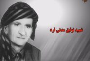 گزیده ای از خاطره همسر شهید توفیق مدنی فرد