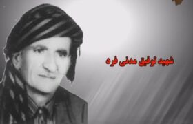 گزیده ای از خاطره همسر شهید توفیق مدنی فرد